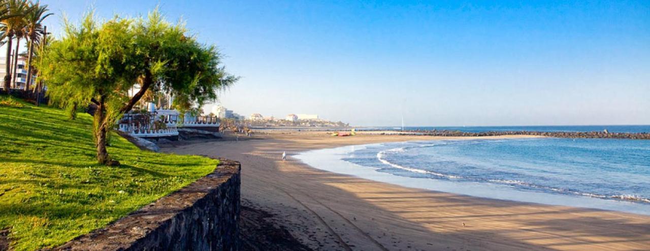 319 Modern Accommodation,Sea View, Wi Fi And Pool Playa de las Americas  Exteriör bild